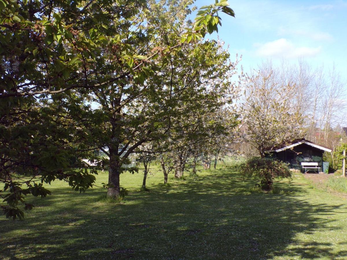 Ferienwohnung Aurich Sandhorst Eg Mit Terrasse Und Kleinem Garten Exteriör bild